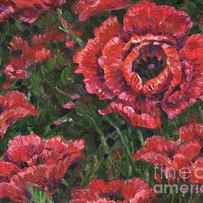 Impressions of Poppies Horizontal II by Paul Brent