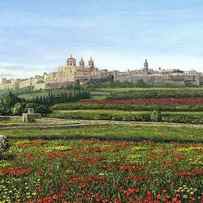 Mdina Poppies Malta by Richard Harpum