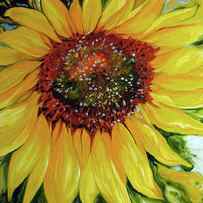 Sundown Sunflower by Marcia Baldwin