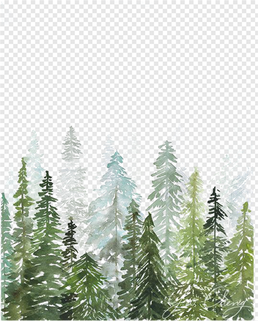 Spruce forest watercolor