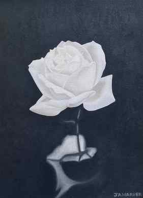 White Rose thumb