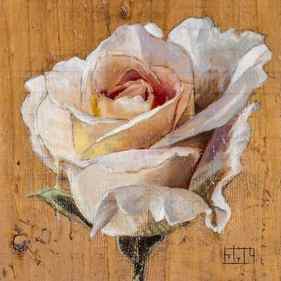 Pink Rose | Oil Painting of Pink Rose thumb