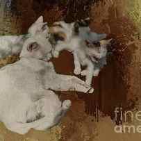 Cat Family by Eva Lechner