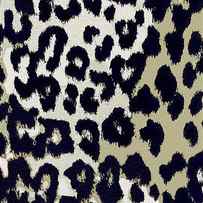 Animal Print by Mindy Sommers