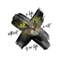 Graphic Art British Shorthair Cat by Melanie Viola