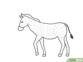 Step 9 Based on the outlines, draw the body of the zebra.