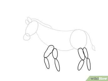 Step 6 Draw a series of elongated ovals for the legs.
