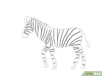 Step 8 Draw the stripes all over the body of the zebra.