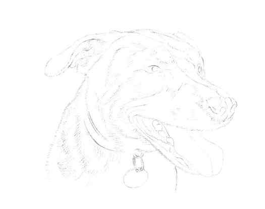 Painting a Dog: Step 2