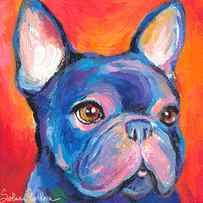 Cute French bulldog painting prints by Svetlana Novikova