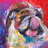 Funny Bulldog licking his hose painting by Svetlana Novikova