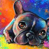 Whimsical Colorful French Bulldog by Svetlana Novikova