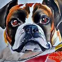 Painting Boxer Dog animal dog portrait pet illust by N Akkash