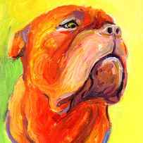 Bodreaux Mastiff dog painting by Svetlana Novikova