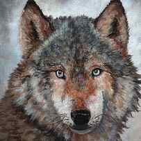 Gray Wolf by Timithy L Gordon