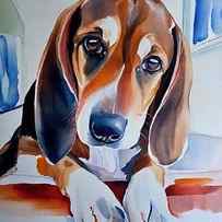 Painting Bassethound portrait pet dog animal brow by N Akkash