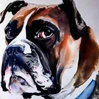 Painting Boxer Dog animal portrait pet dog illust by N Akkash