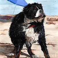 Dog Days of Summer by Liane Weyers
