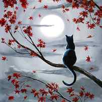 Black Cat in Silvery Moonlight by Laura Iverson