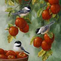 Bird Painting - Apple Harvest Chickadees by Crista Forest