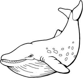 Coloring Pages Jonah and The Whale