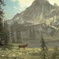 Call of the Wild by Albert Bierstadt by Albert Bierstadt