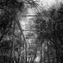 Willow Springs Road Bridge in Black and White by Hailey E Herrera