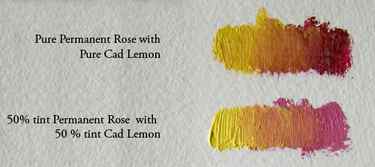 Permanent-rose-cad-lemon