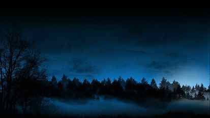 Trees Forest Night Fog Mist Blue Cg Sky High Resolution Pictures HD wallpaper