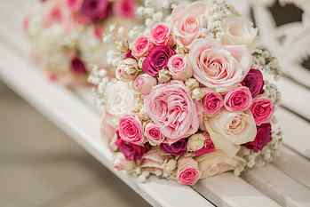 bouquet of pink, white, and red roses, flowers, flowering plant HD wallpaper