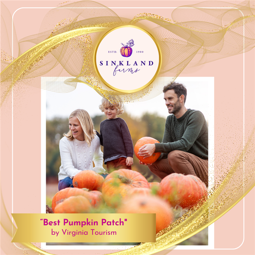 Best-Pumpkin-Patch_Virginia-Tourism_Sinkland-Farms.png