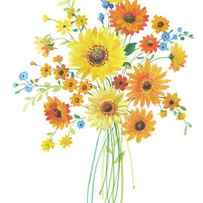 Sunshine Bouquet I by Danhui Nai