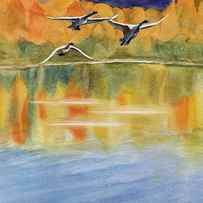 Swan Lake Revisited by Kris Parins