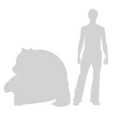 Relative to 6ft (2m) man