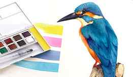 Kingfisher Paint-a-Long
