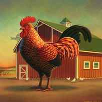 Rooster and the Barn by Robin Moline