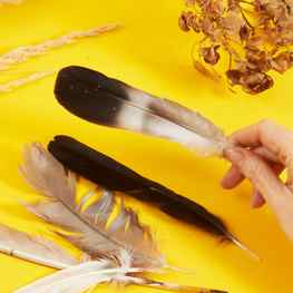 Family how-to: make your own paintbrush 12