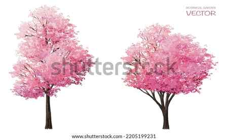770 Drawing Of The Cherry Blossom Tree Sketch Illustrations RoyaltyFree Vector Graphics Clip Art iStock