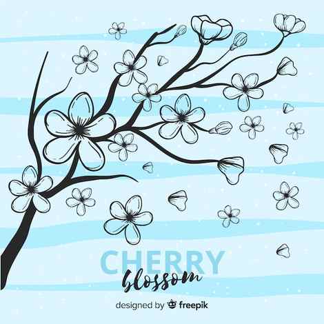 Buy Cherry Tree Drawing Online In India Etsy India