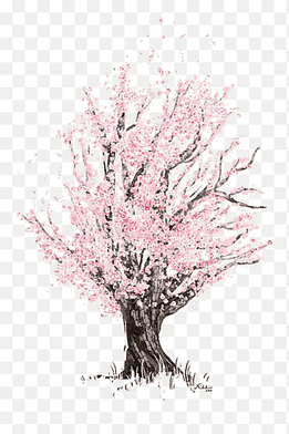 cherry tree drawing Tree drawing Cherry blossom drawing Tree drawing simple