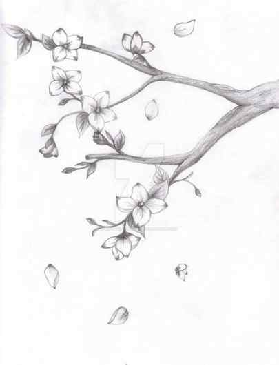How to Draw a Cherry Blossom Sakura Flower Sketch Lesson