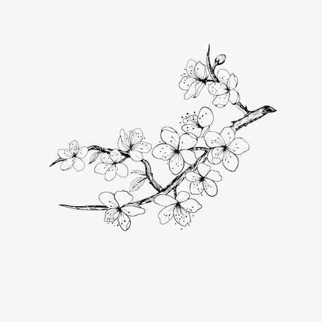 Sketch Flowering Branch Cherry Tree Stock Illustration 630894851 Shutterstock