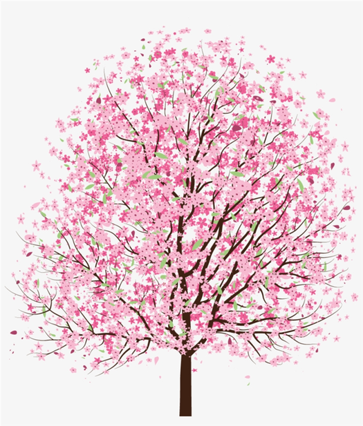 Cherry Tree Sketch Images Free Download on Freepik