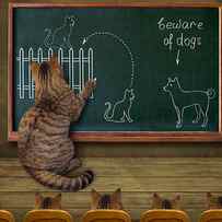 Cat Teacher And His Pupils. :) by Iryna Kuznetsova (iridi)