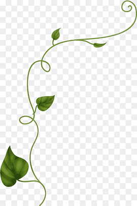 Leaf Vine Drawing Flower Plant, Leaf, leaf, branch, grass png thumbnail