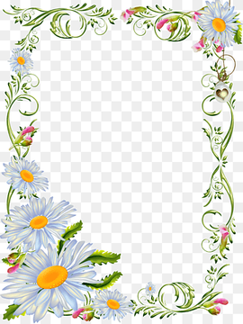 Line Art Border, BORDERS AND FRAMES, Flower, Watercolor Painting, Parchment Craft, Flora, Flower Arranging, Frame, BORDERS AND FRAMES, Flower, Watercolor Painting png thumbnail
