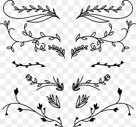 flower and leaves drawing illustration, Flower Ornament Euclidean, Hand drawn plant flower vine, love, white, leaf png thumbnail