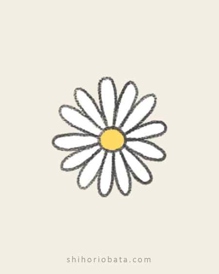 daisy flower drawing