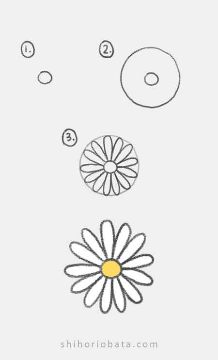 daisy step by step drawing