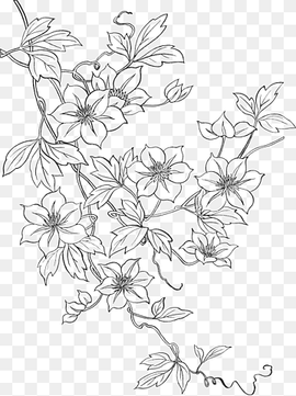 Line art Embroidery Drawing Flower Pattern, flower, white, leaf, branch png thumbnail